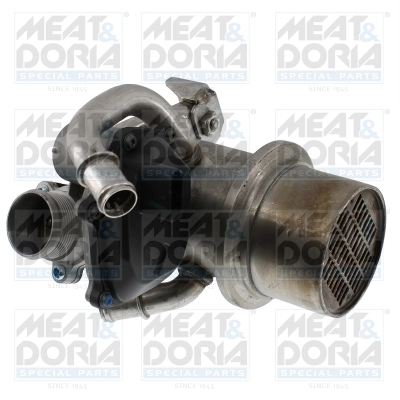 EGR Module